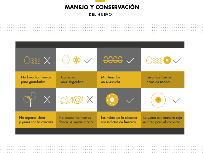 manejo huevo conservación nevera