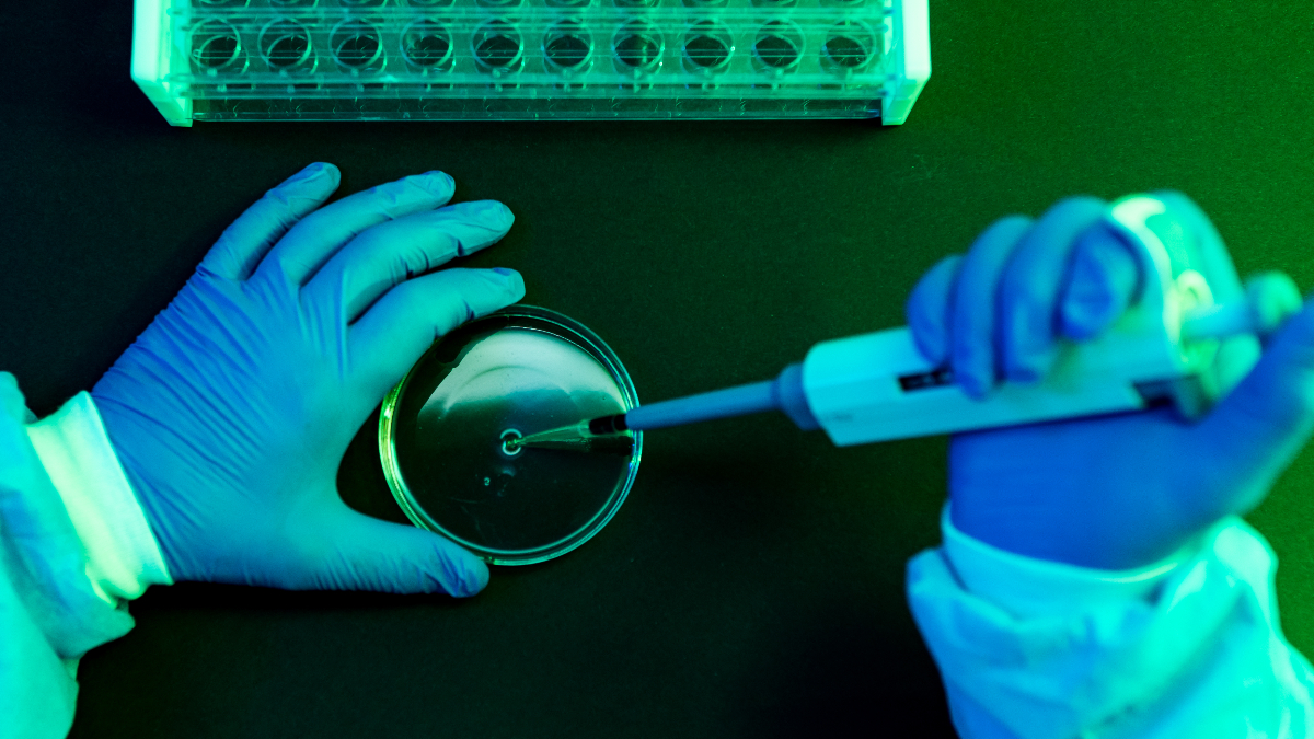 Bacterias laboratorio